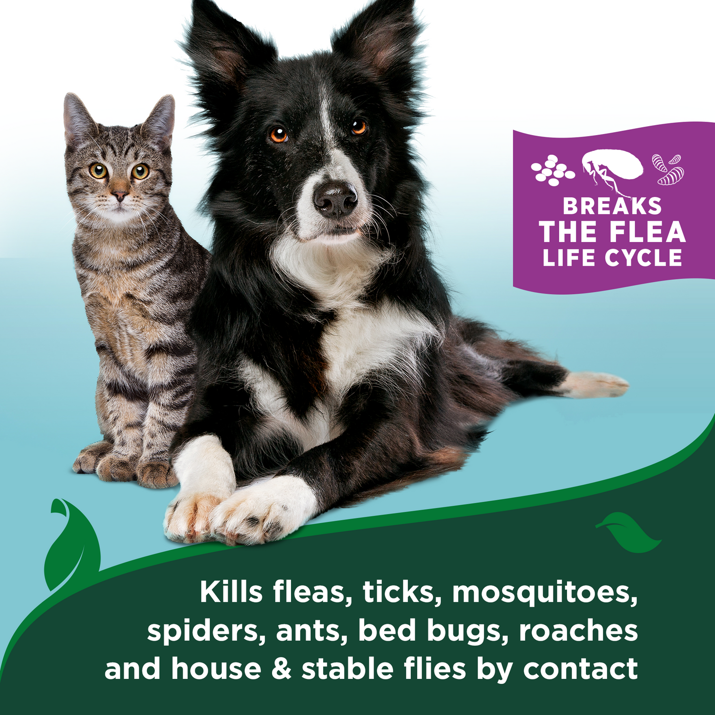 Flea and Tick Cat Gentle Mist �Cotton Spice Scent, 6.3 oz.