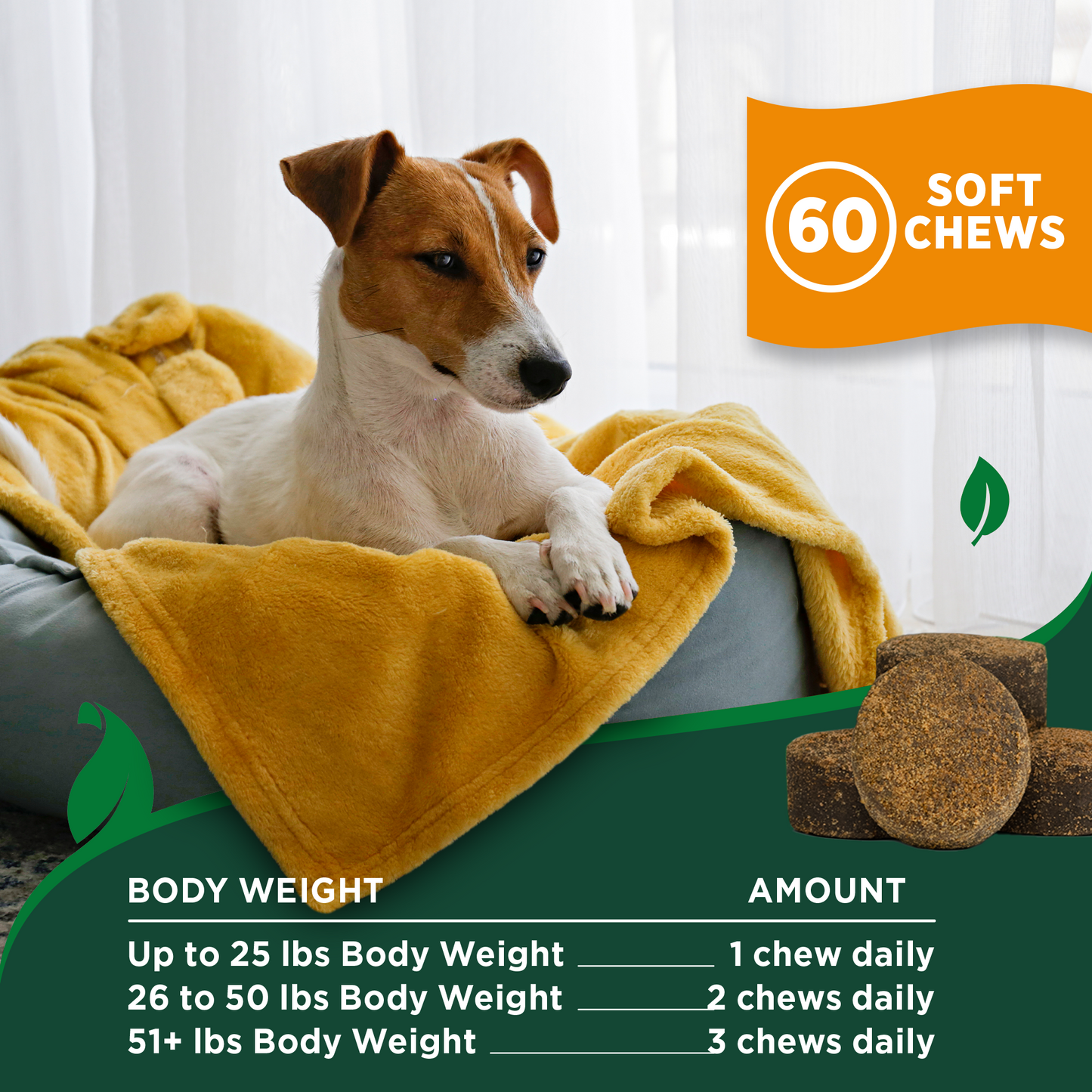 Flea & Tick Itch Support Soft Chews