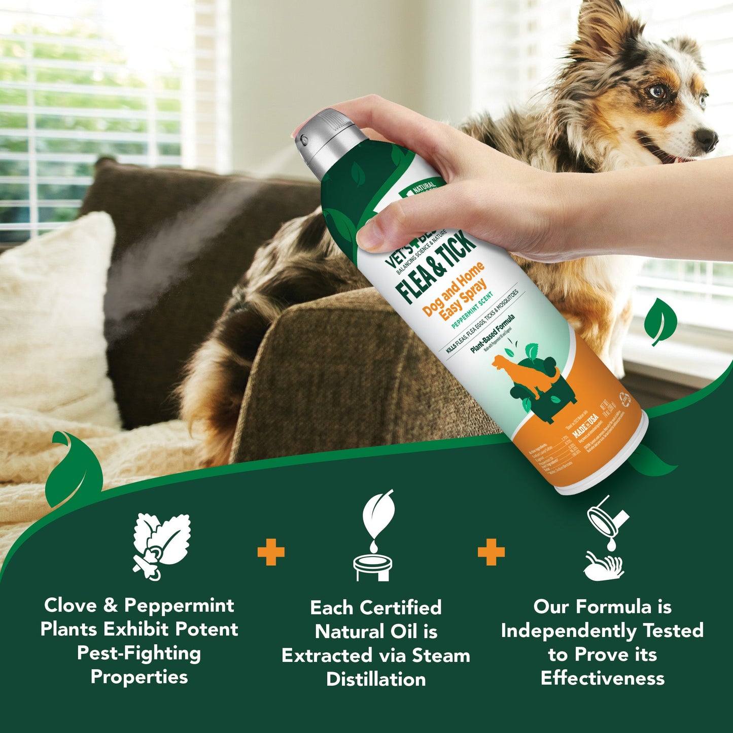 Flea & Tick Easy Spray for Dogs & Home, 14 oz.
