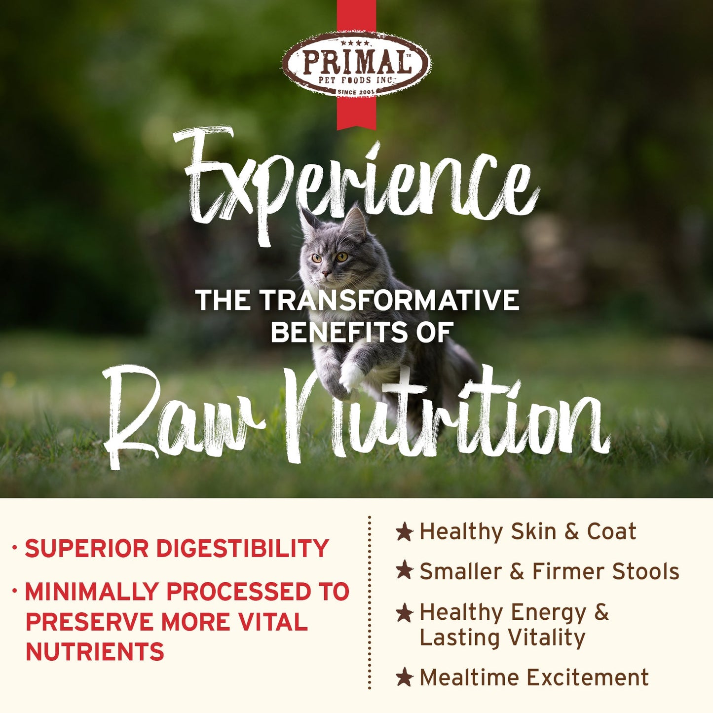Primal Frozen Raw Scoopable Pronto Cat Food - Venison Recipe