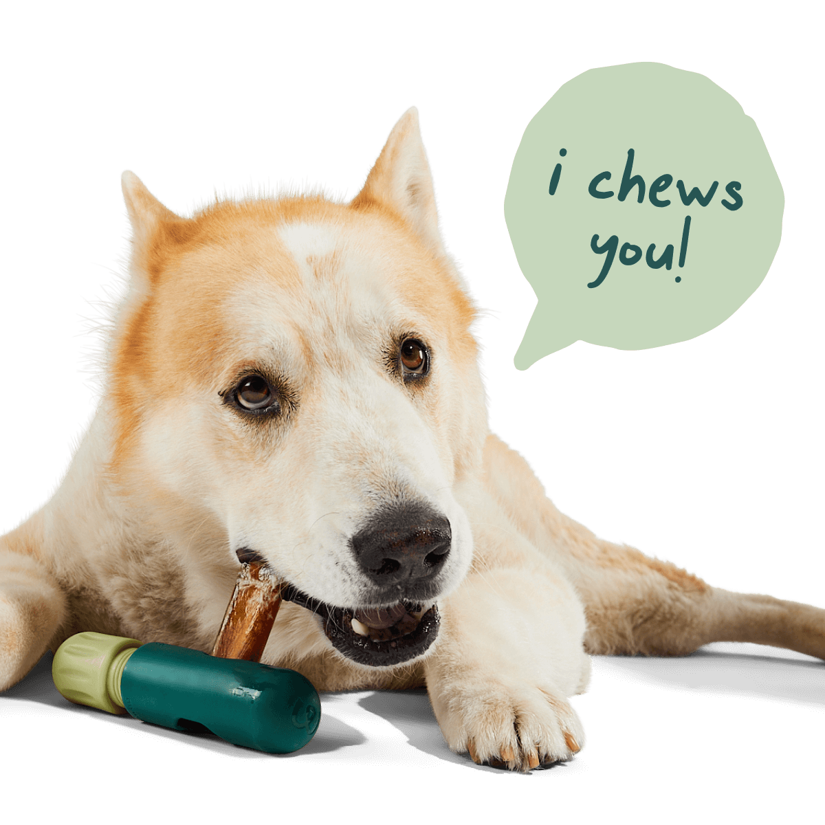 The BullySafe Better Pack