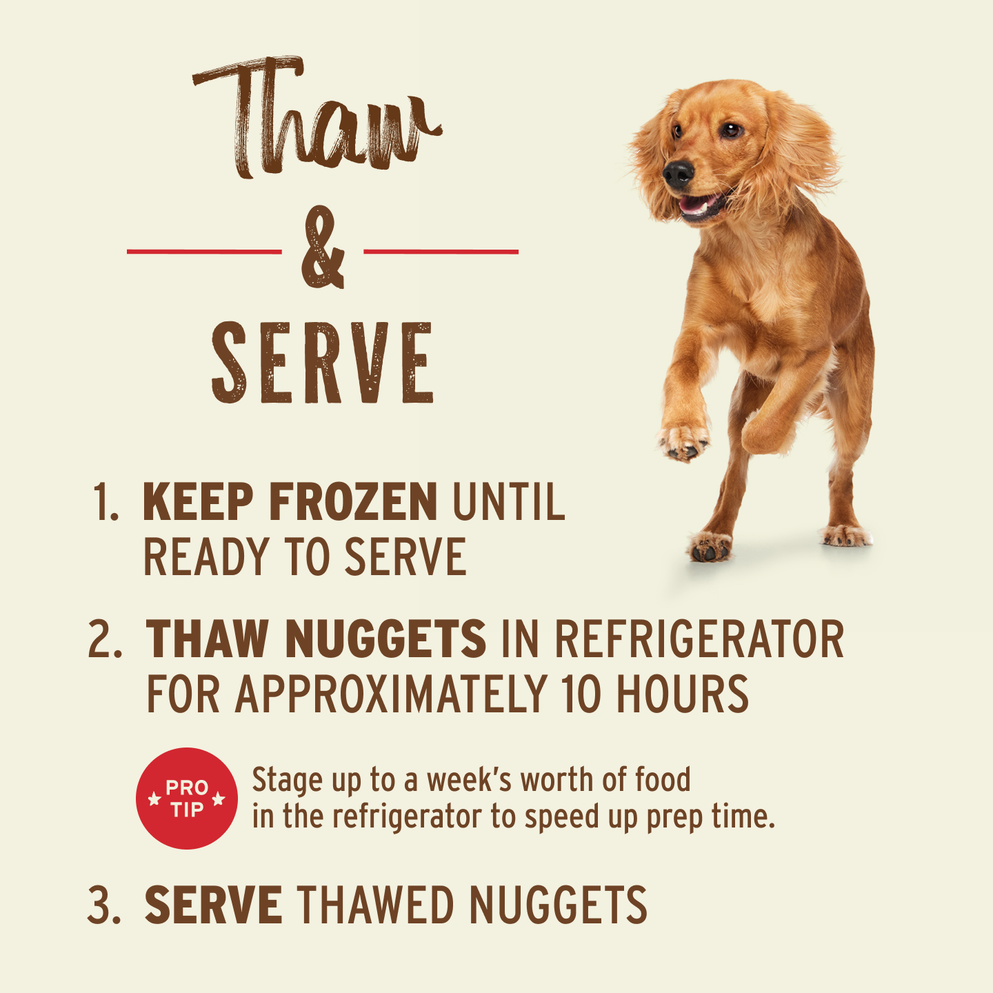 PrimalPetFood Frozen Raw Nuggets Dog Food - Chicken Recipe