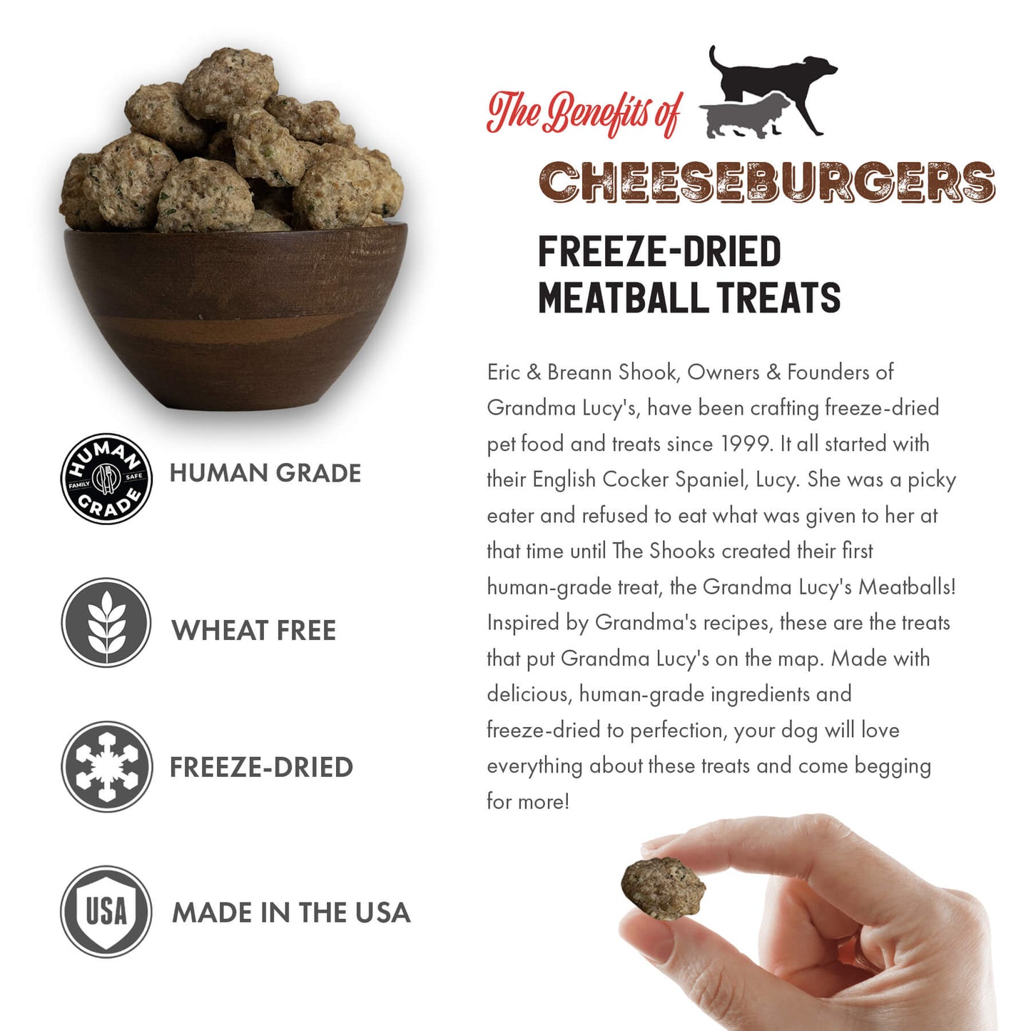 Freeze-Dried Meatballs - Cheeseburgers