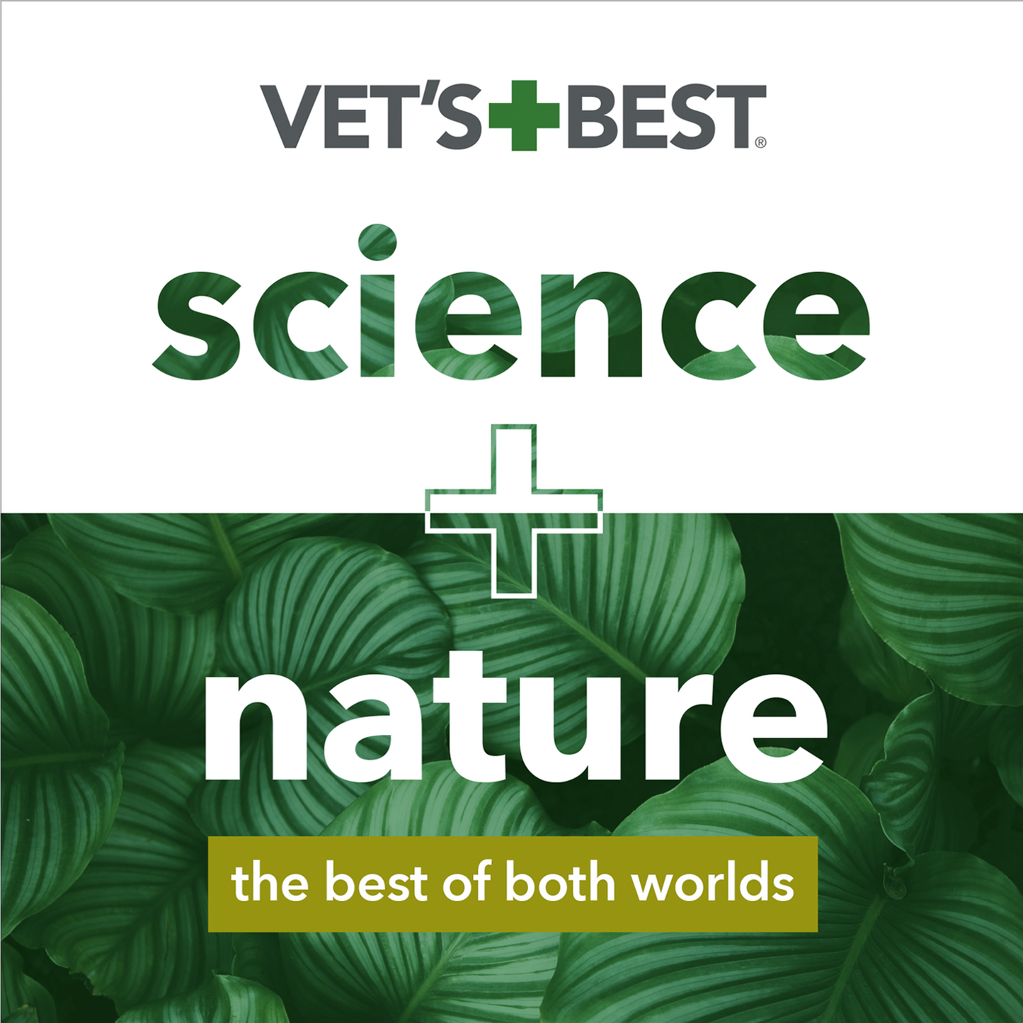 Anti-Flea Spray Shampoo