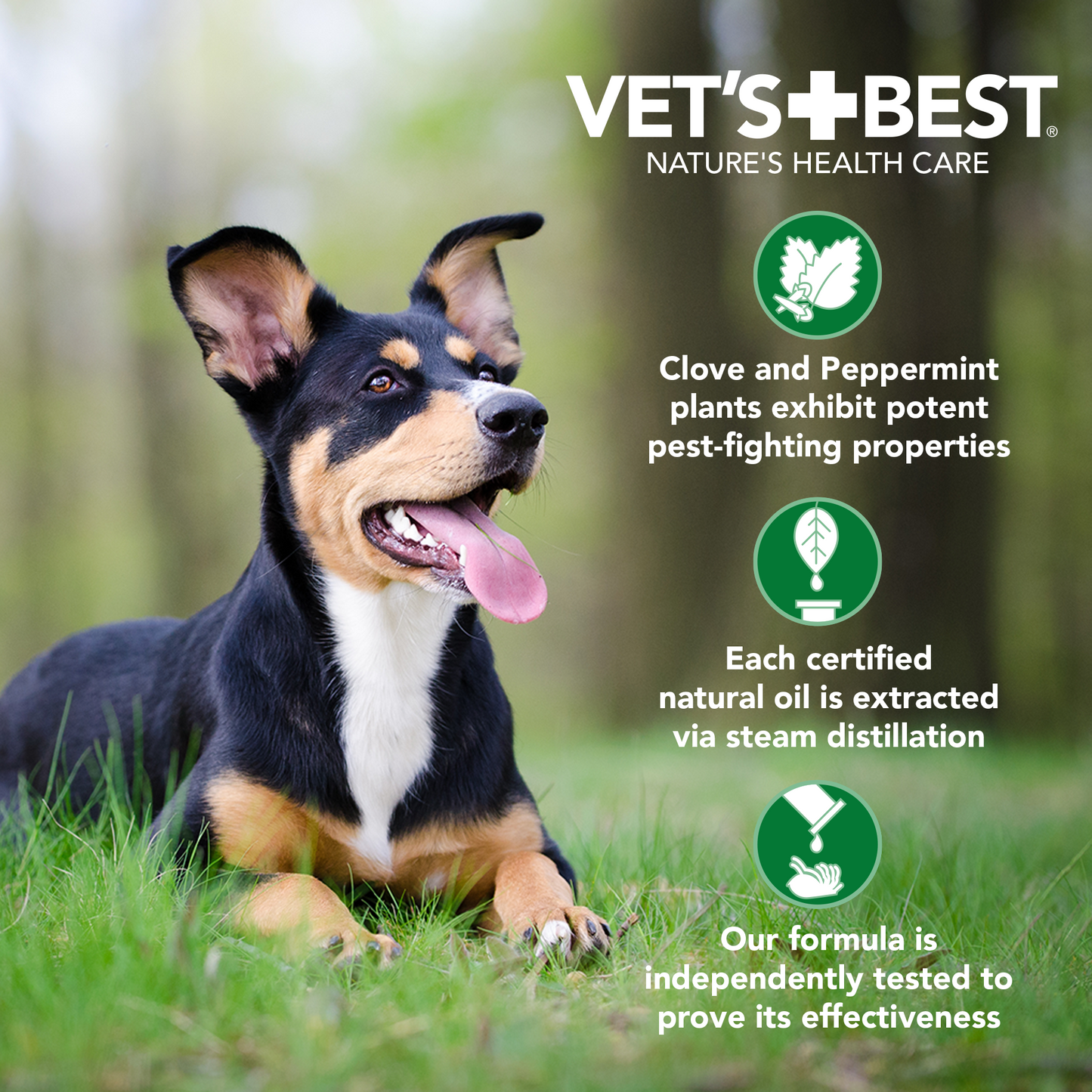 Anti-Flea Spray Shampoo