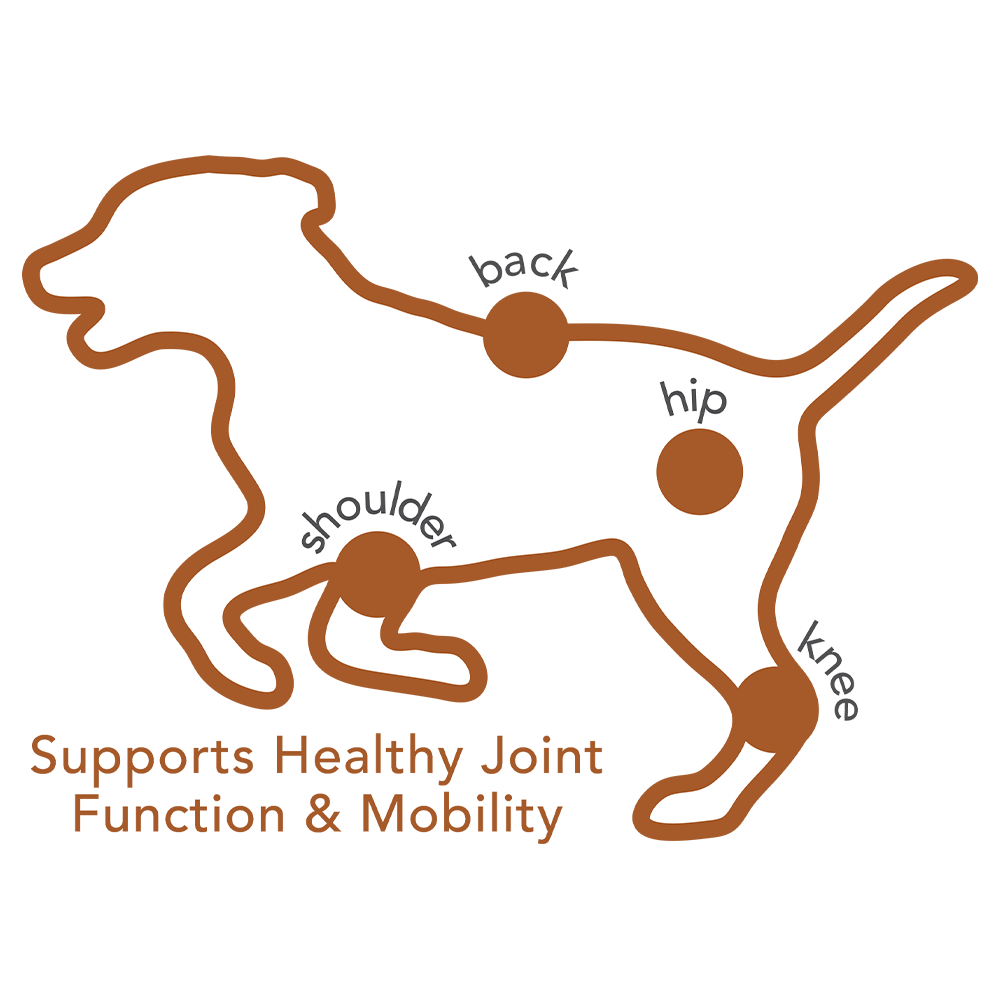 Advanced Hip & Joint Soft Chews