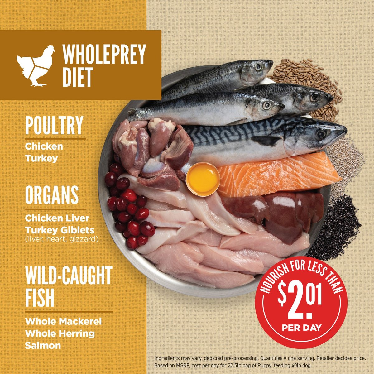 Orijen Amazing Grains Puppy Dry Dog Food