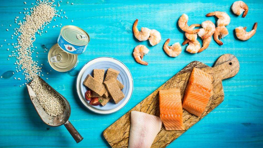 Fromm Four-Star Seafood & Shrimp Pate Canned Cat Food