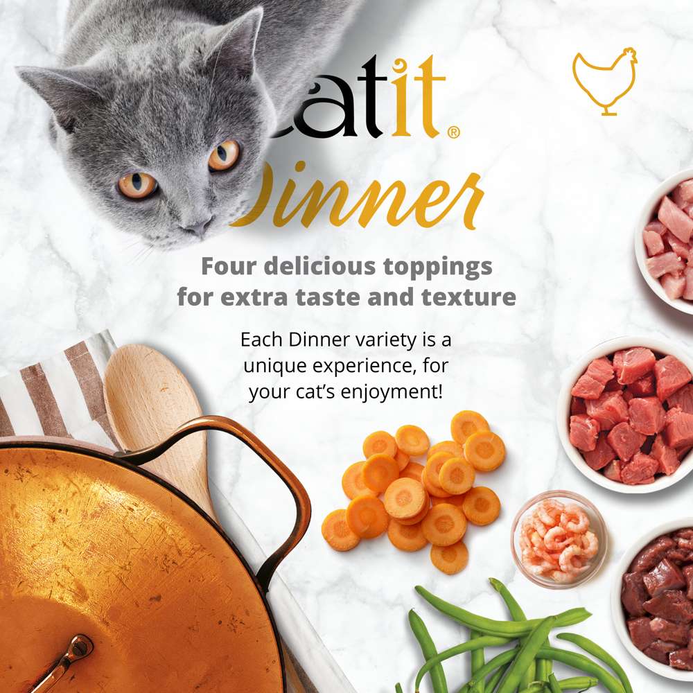 Catit Chicken Dinner