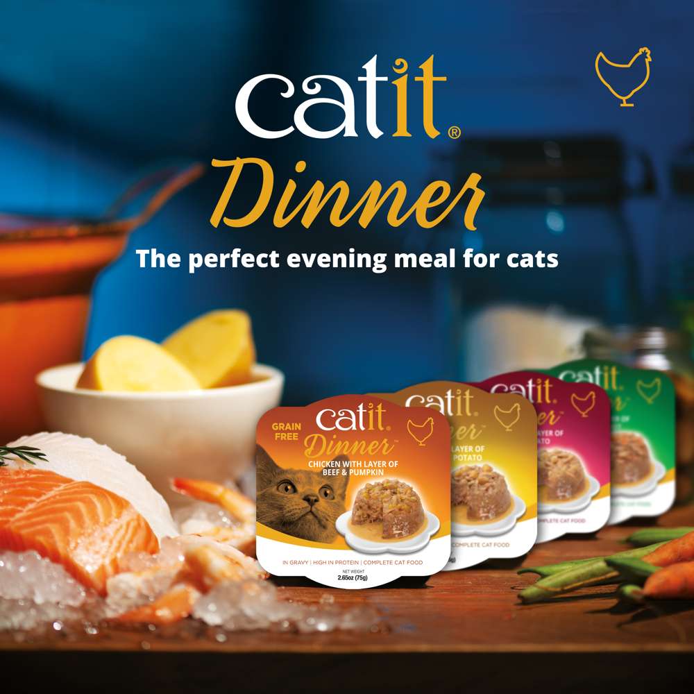 Catit Chicken Dinner