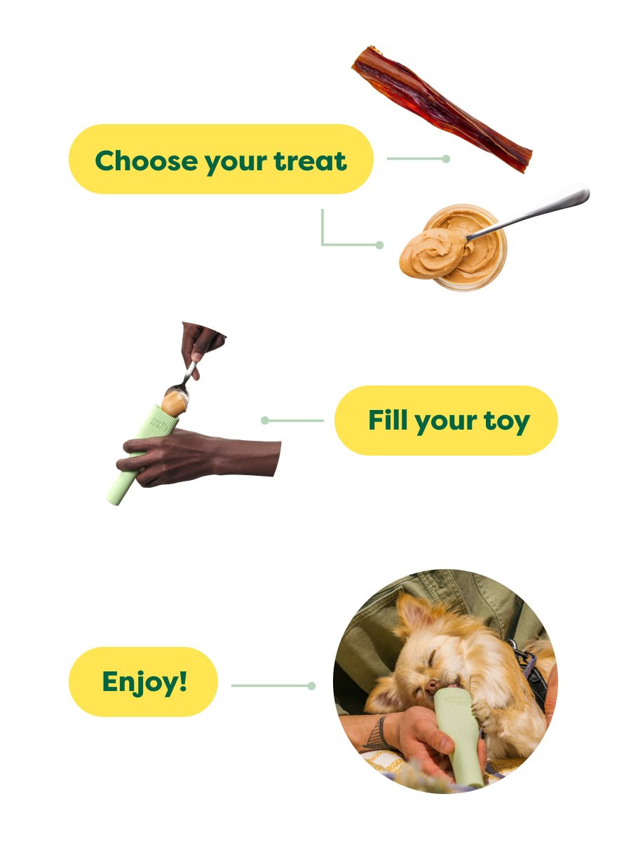 Enrichment Toy