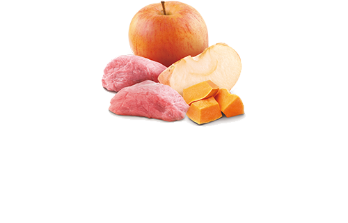 Farmina N&D Pumpkin Wild Boar, Pumpkin & Apple Canned Dog Food