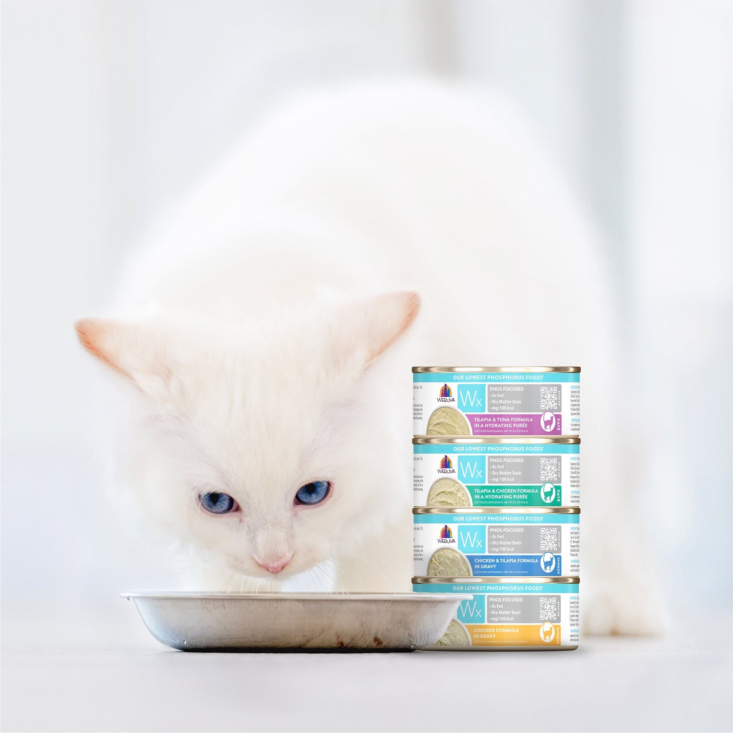 Phos Focused Gravy & Paté Formulas