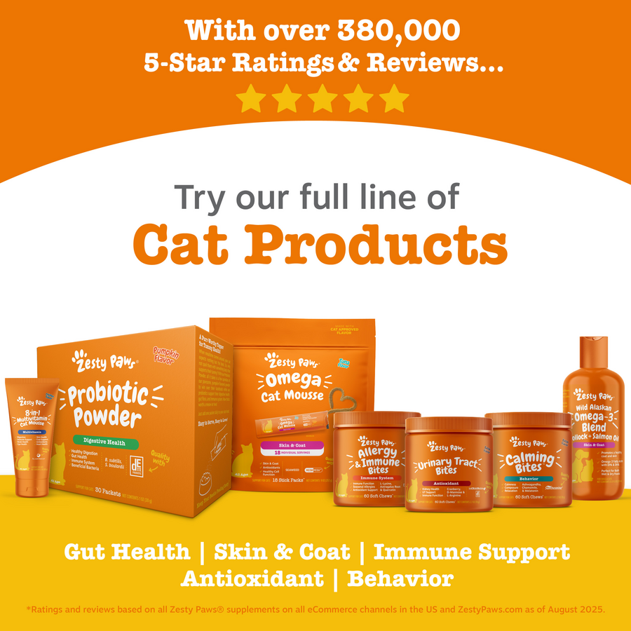 Cat Calming Diffuser Starter Kit - 30 Day Supply