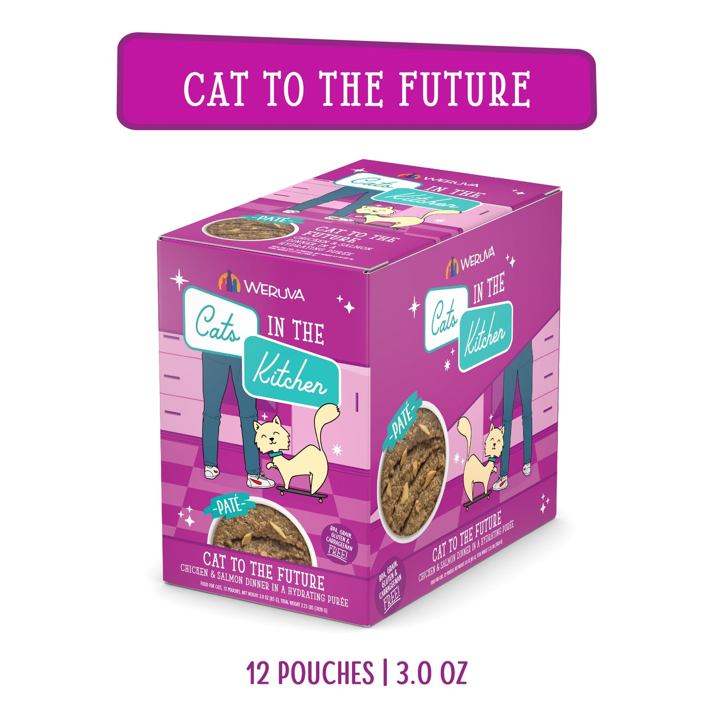 Cat to The Future