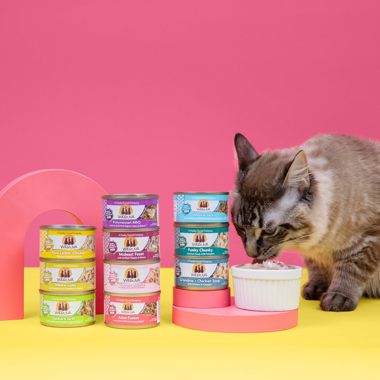 Wowzer Meowzer!