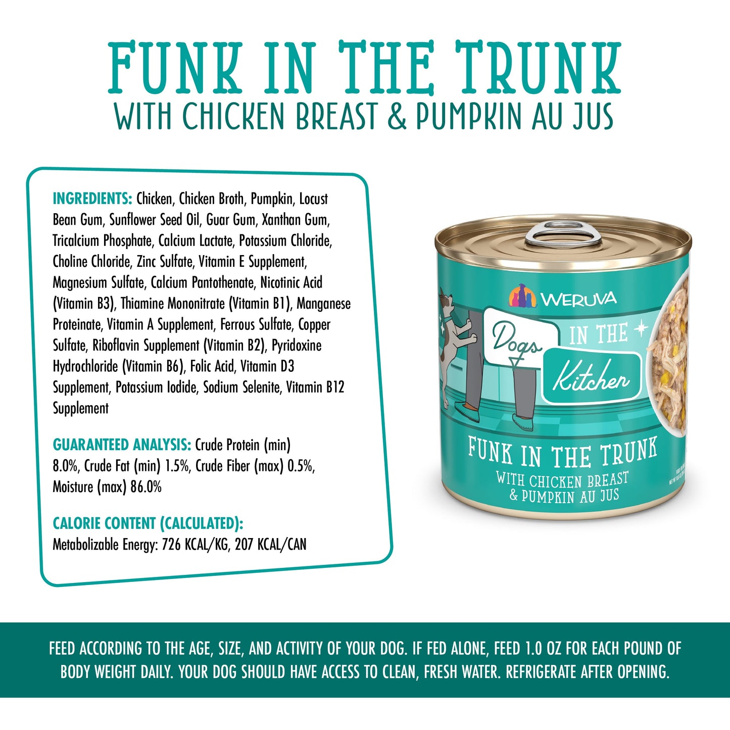 Funk in the Trunk