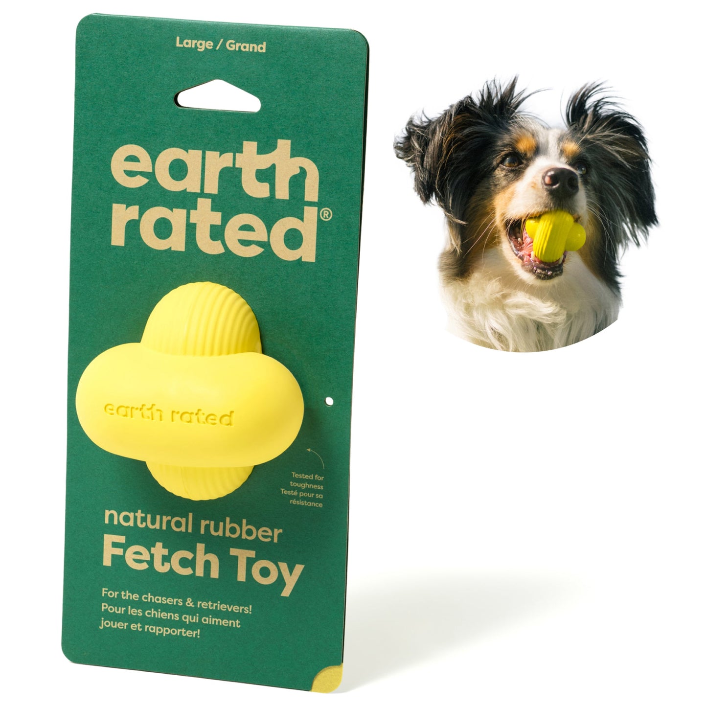 Fetch Toy