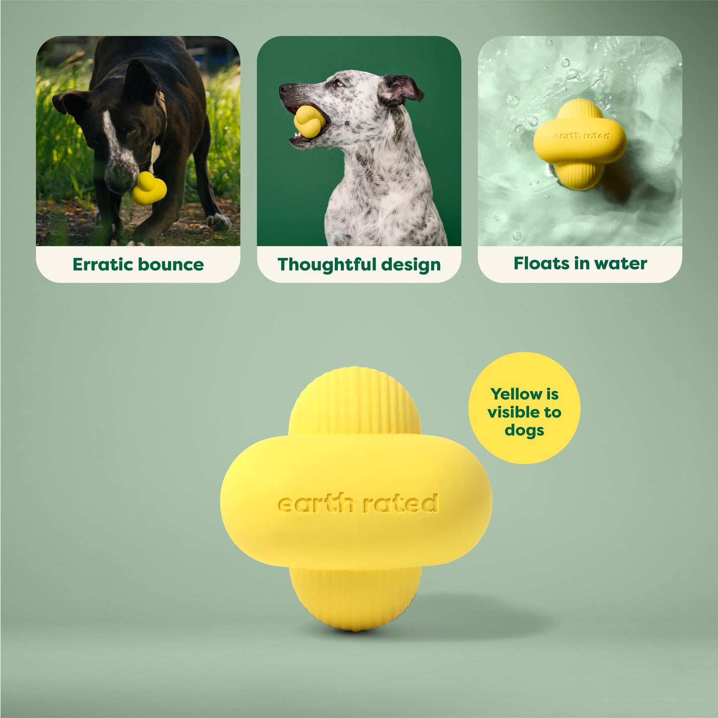 Fetch Toy