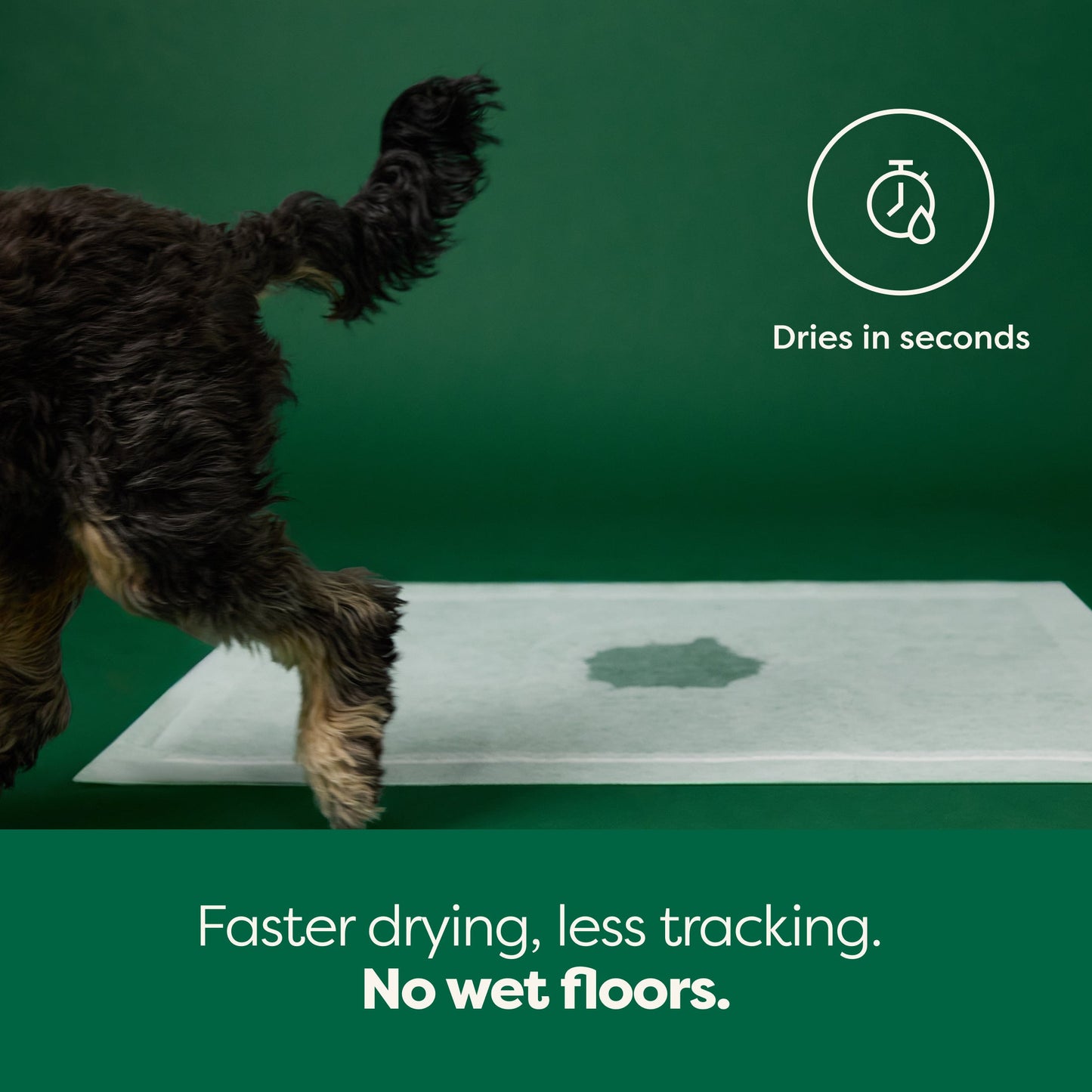 Maximum Absorbency Pee Pads