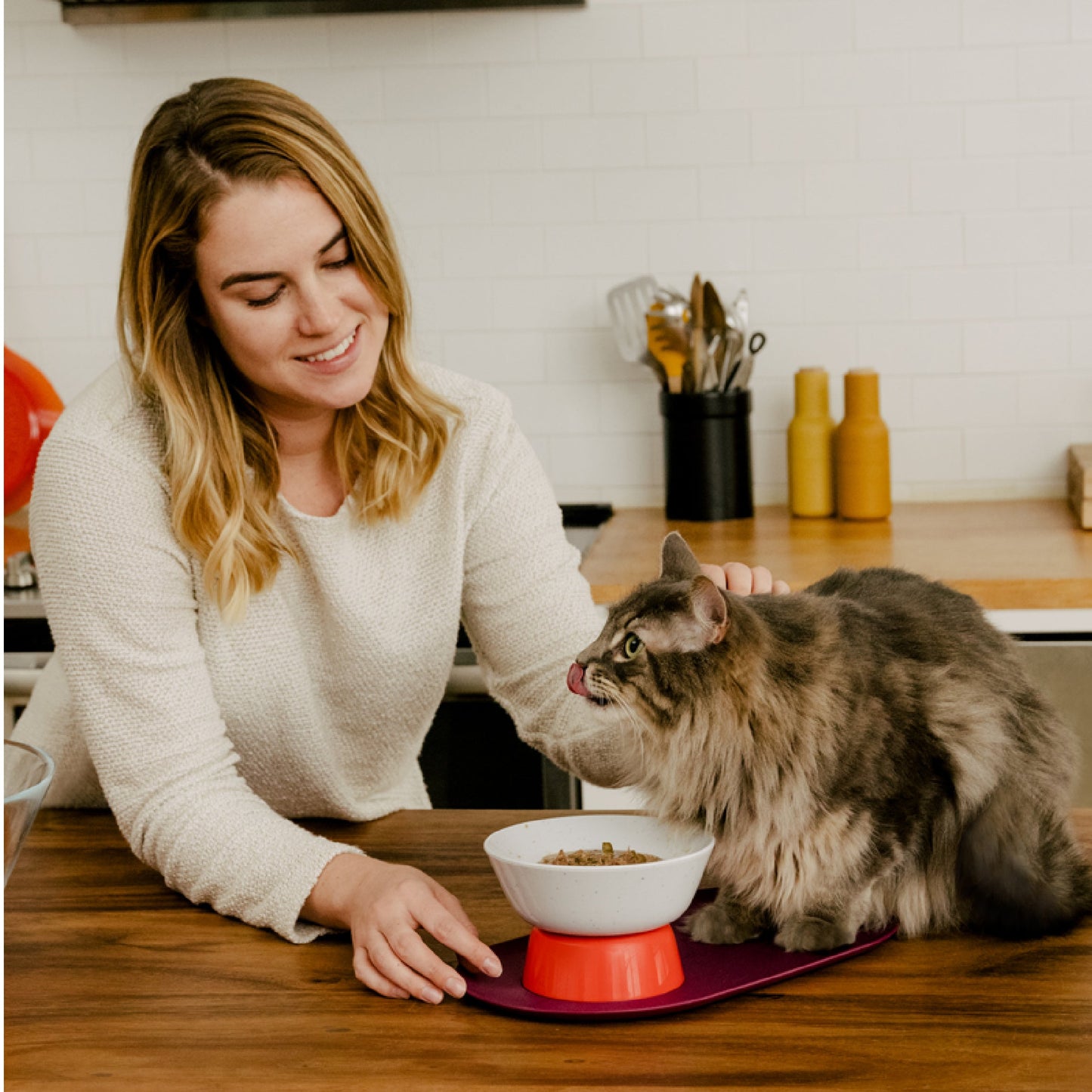 Mesa Pet Bowl