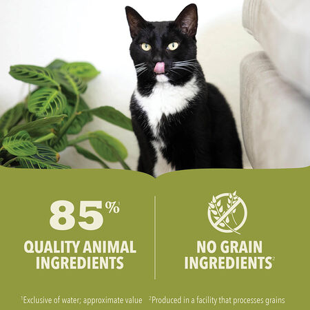ACANA Premium Pate Chicken & Fish Recipe Canned Cat Food