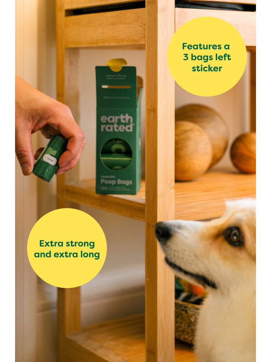 Poop Bags on Refill Rolls