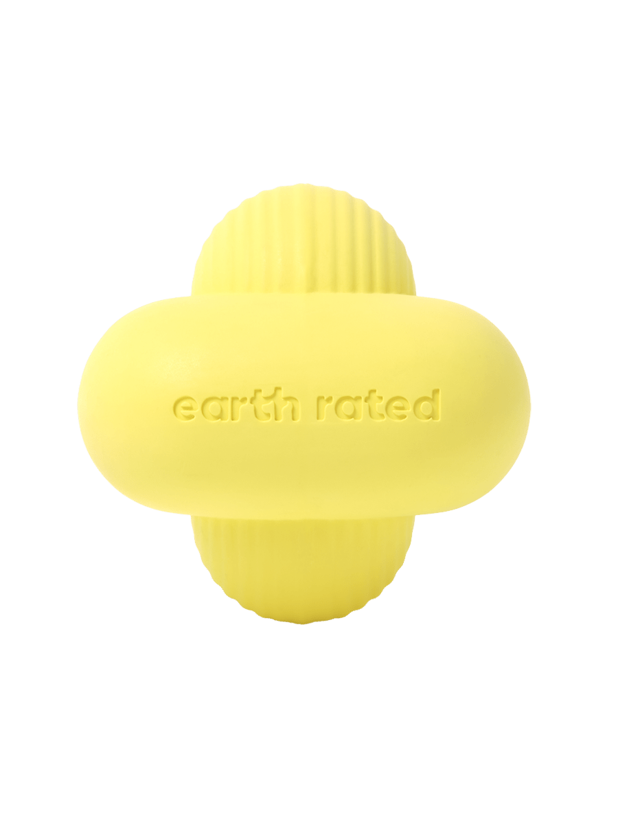 Fetch Toy