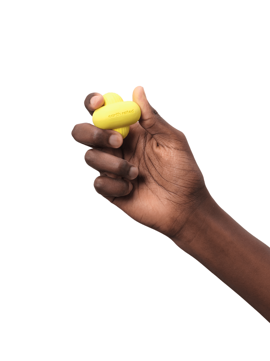 Fetch Toy