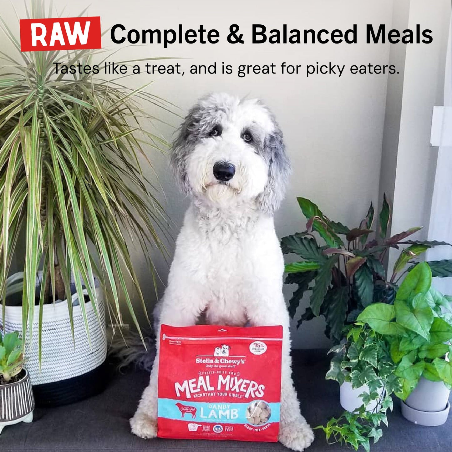 Dandy Lamb Meal Mixers