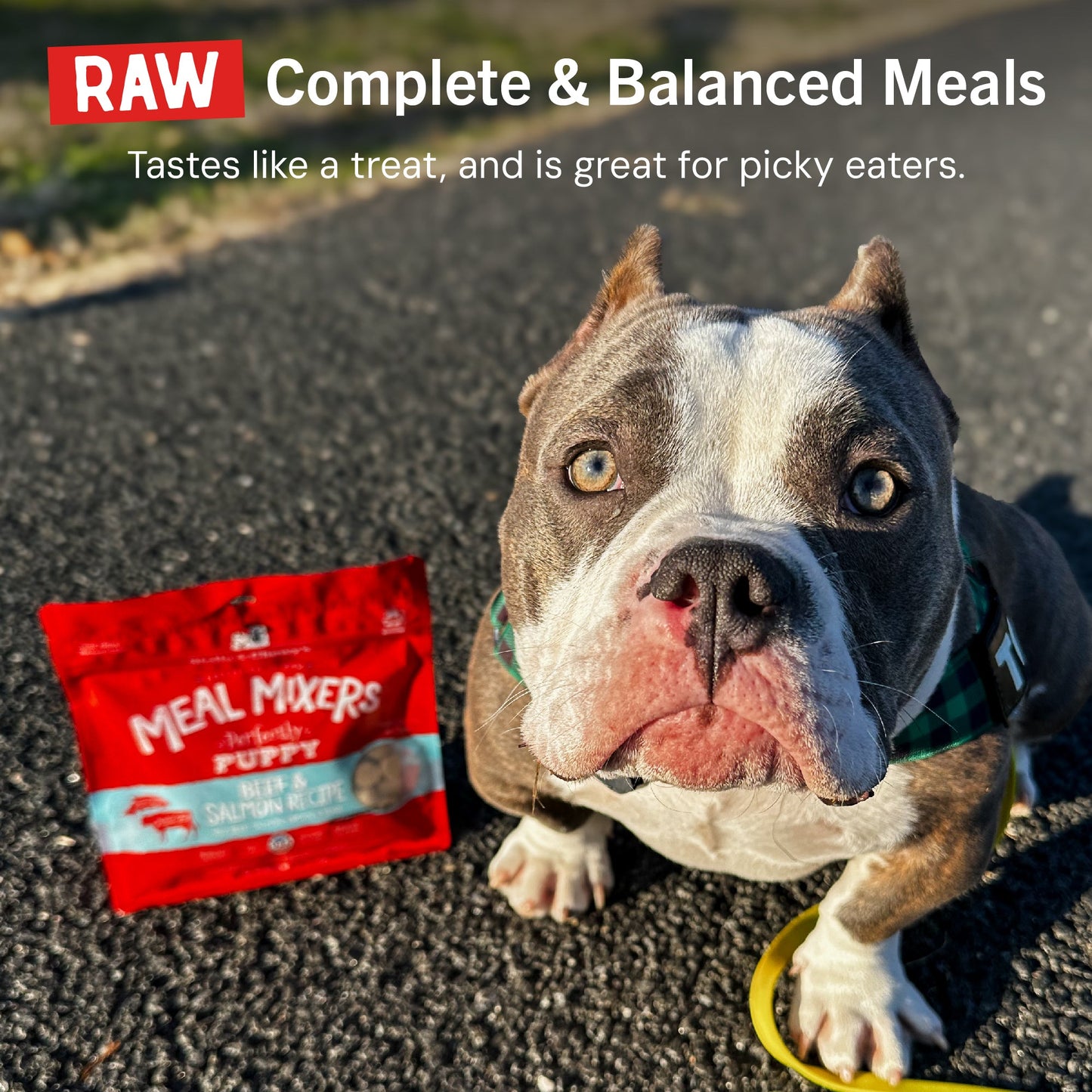 Perfectly Puppy Beef & Salmon Meal Mixers