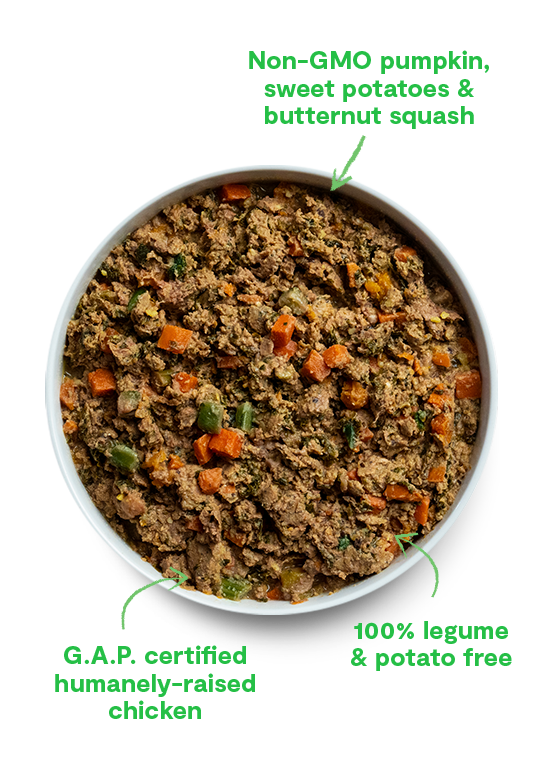 Open Farm Limited Edition Winter Blend Gently Cooked for Dogs