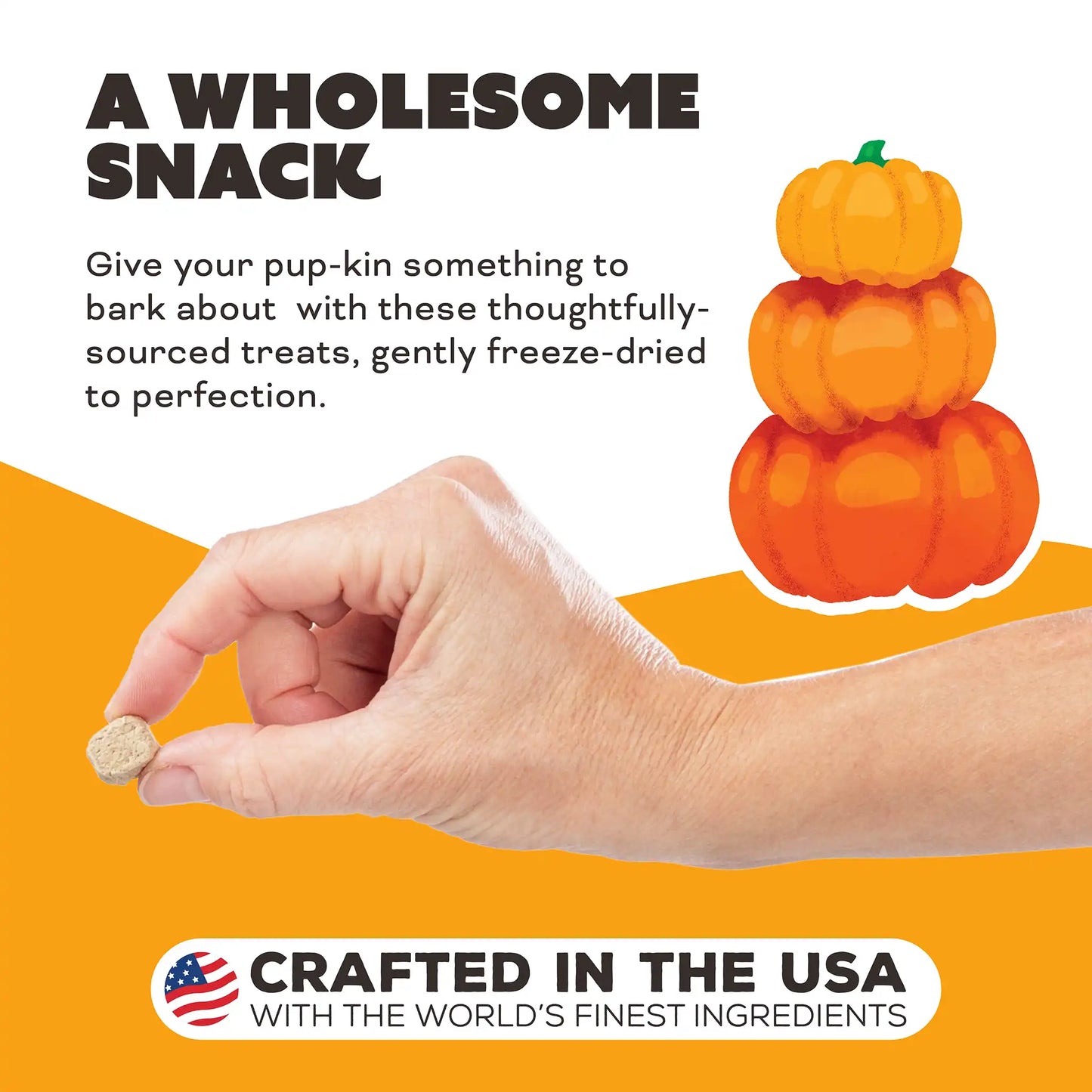 Primal Canine Chicken Pumpkin For My Pumpkin 2oz/10 count