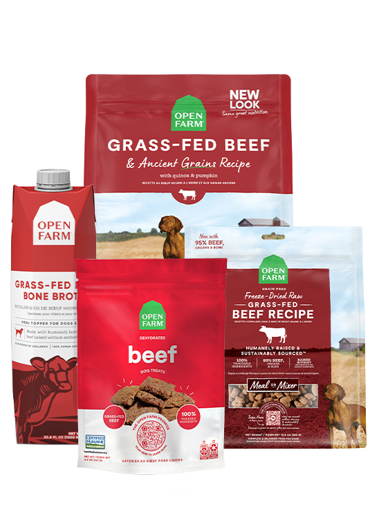 Open Farm Grass-Fed Goodness Bundle