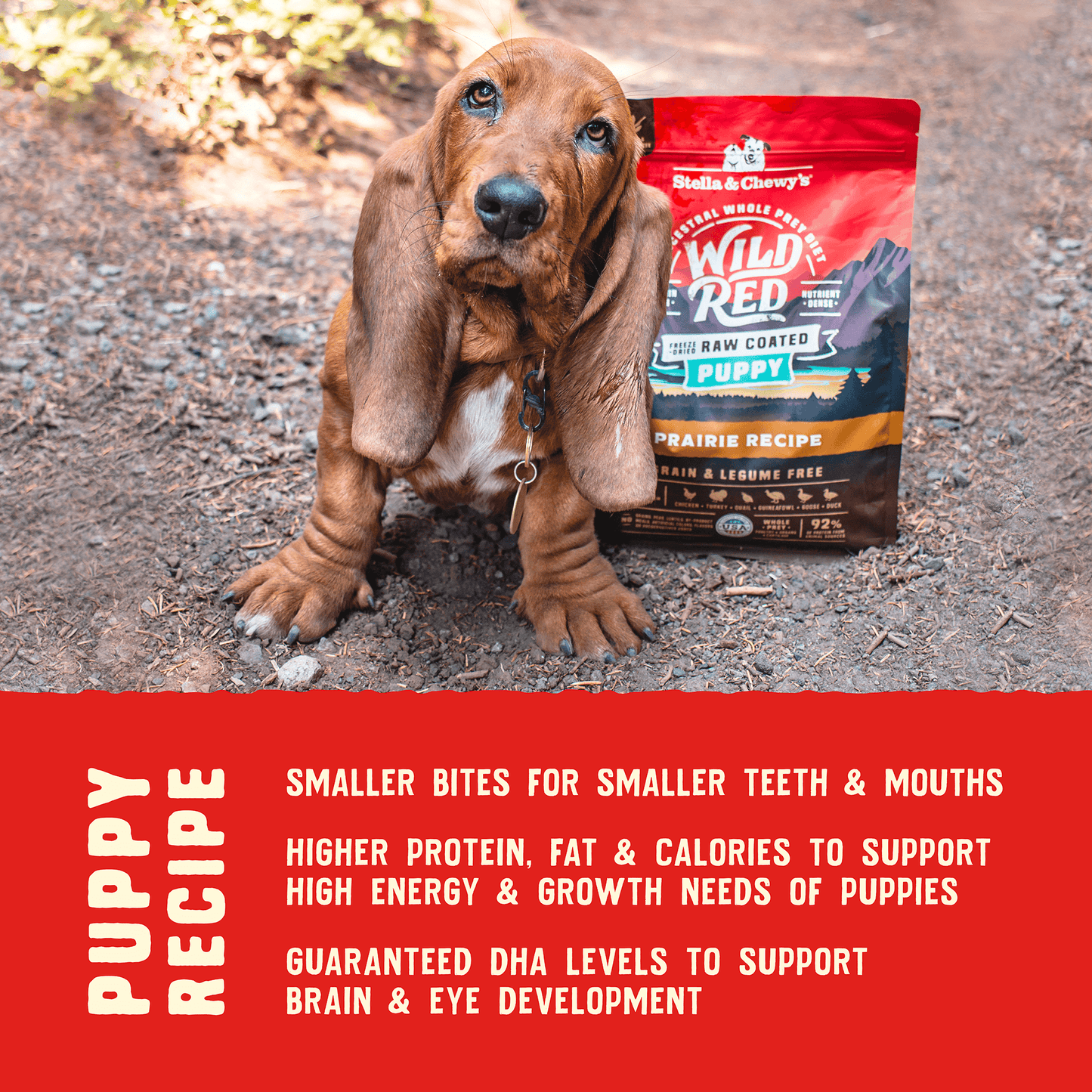 Wild Red Raw Coated Grain & Legume Free Puppy Prairie Recipe