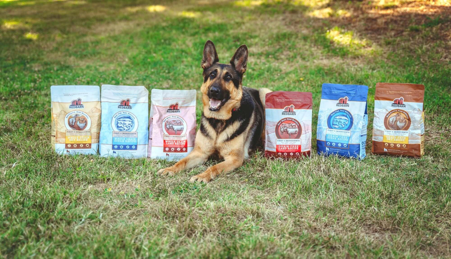 First-Five Kibble Whole Grain Dry Dog Food Variety 3-Pack - 4lb bags