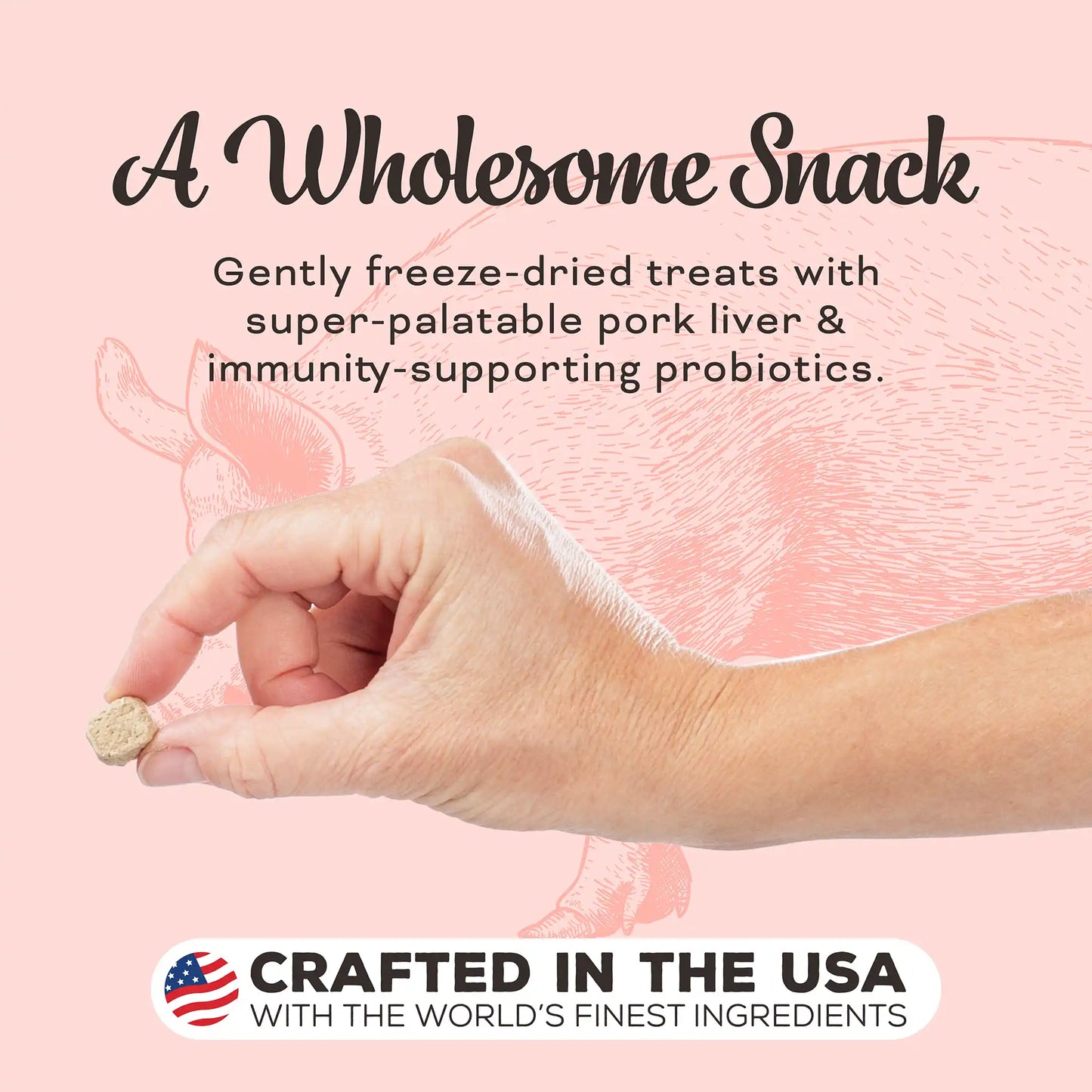 Primal Liver Laugh Love Freeze-Dried Treats for Cats - Pork Liver Recipe