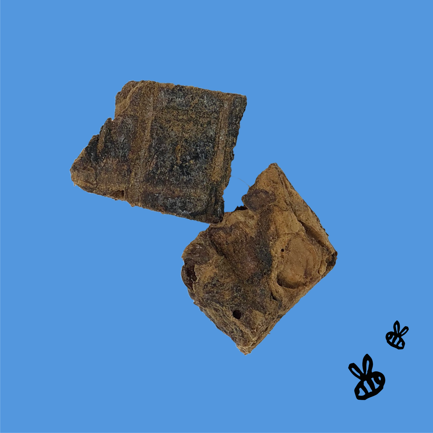 LUNG BITES