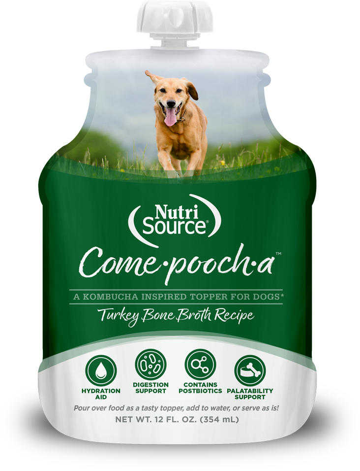 NutriSource Come-Pooch-a Turkey Bone Broth for Dogs