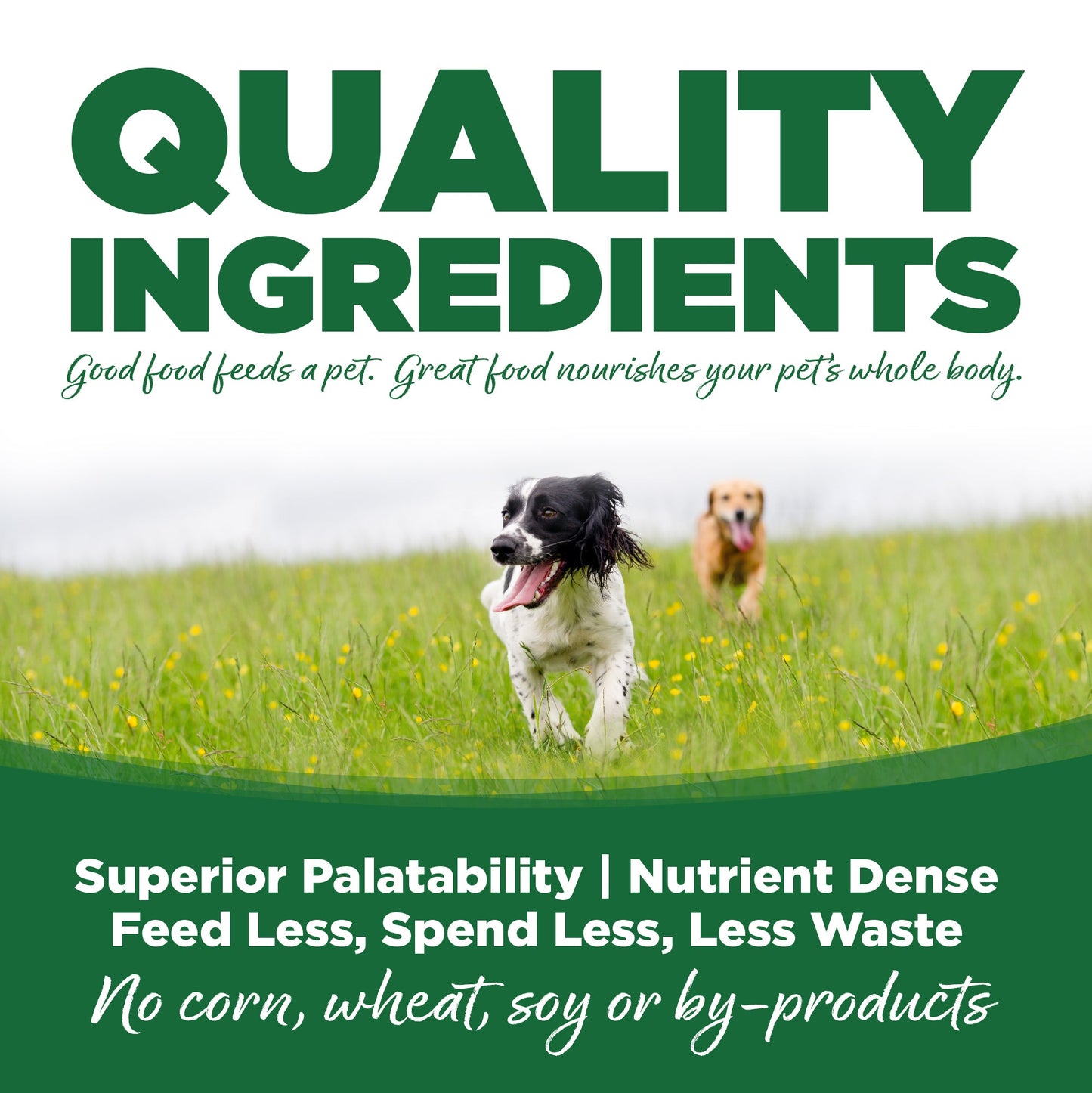 NutriSource Turkey & Rice Canned Dog Food