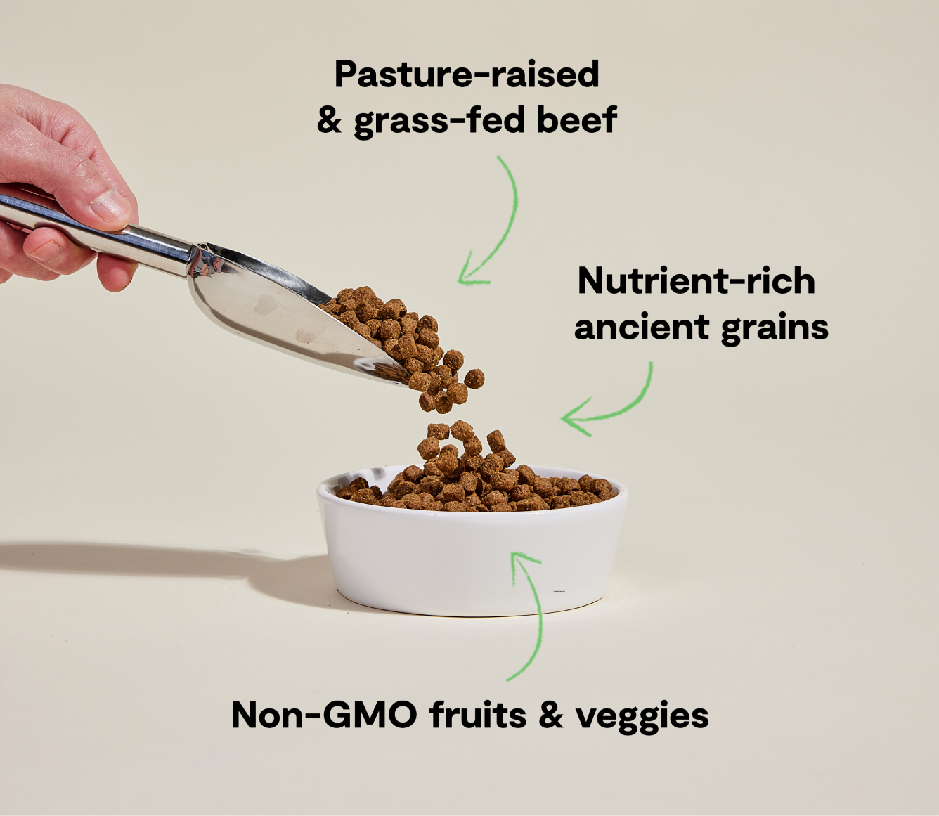 Open Farm Grass-Fed Beef & Ancient Grains Dog Kibble