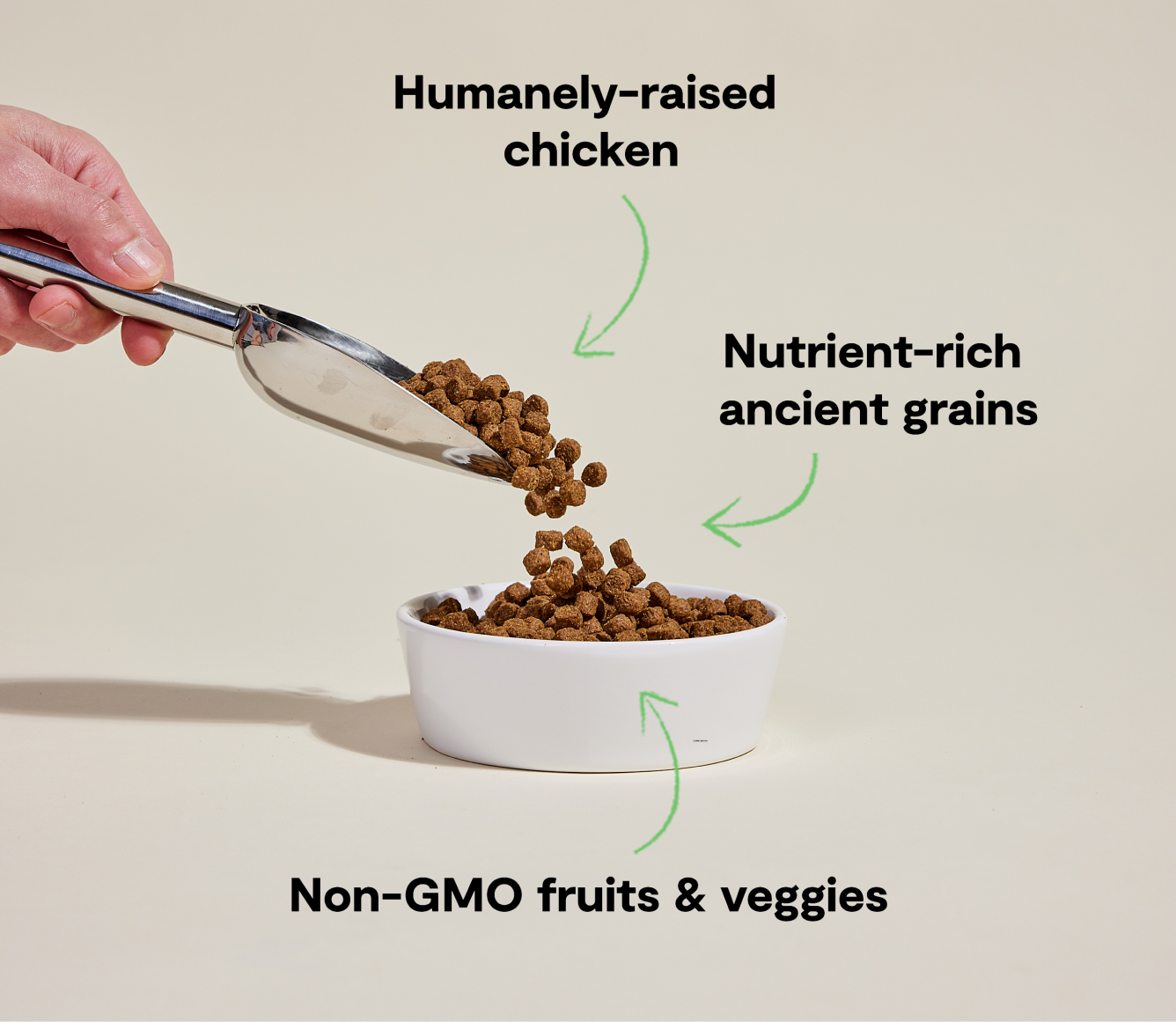 Open Farm Harvest Chicken & Ancient Grains Dog Kibble