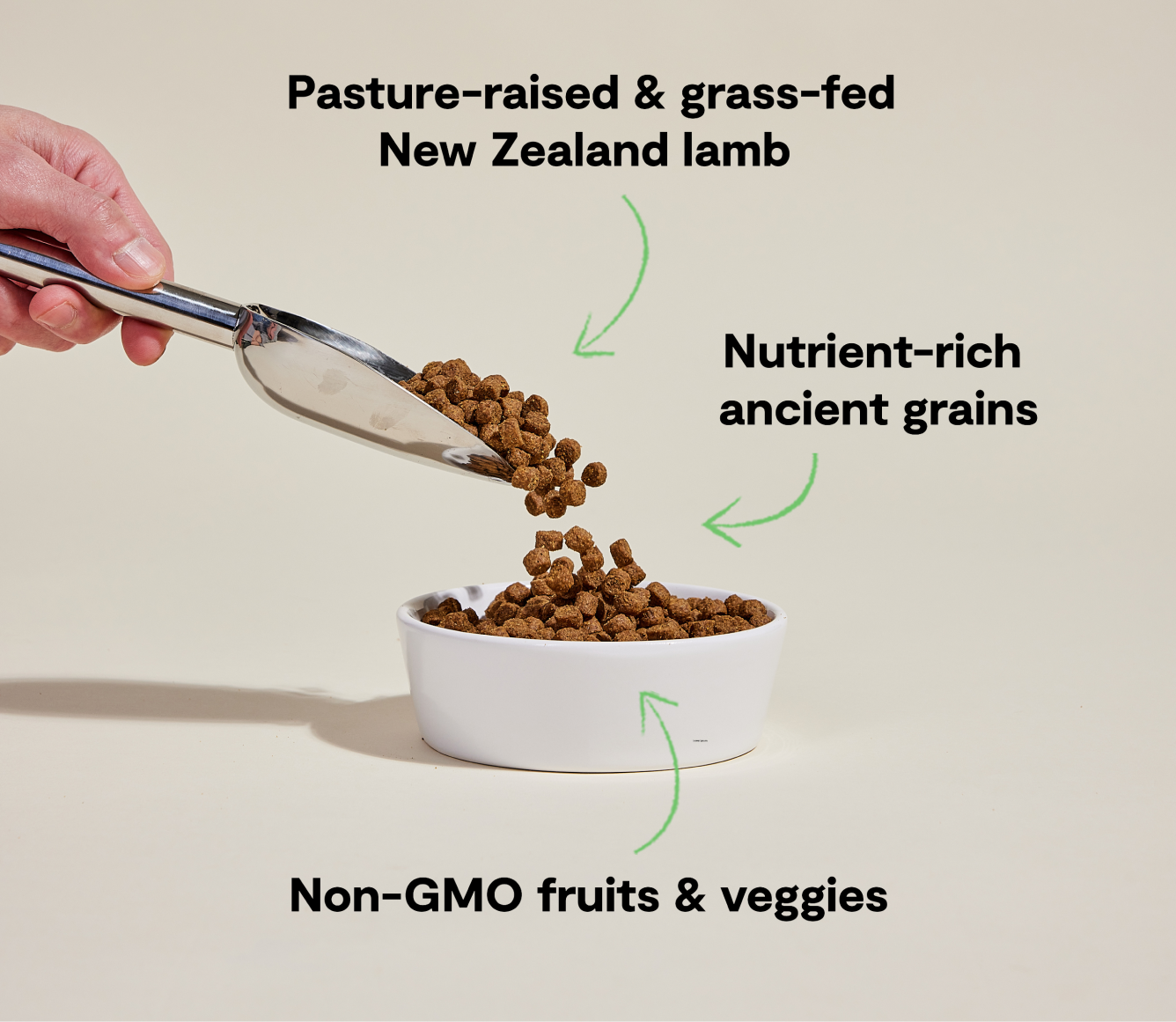 Open Farm Pasture-Raised Lamb & Ancient Grains Dog Kibble