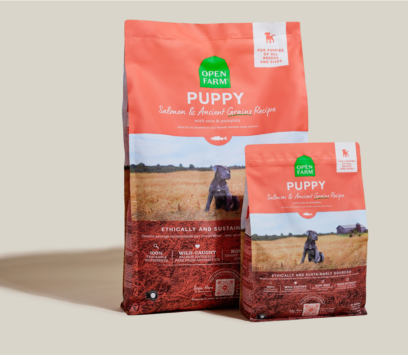 Open Farm Salmon & Ancient Grains Puppy Kibble