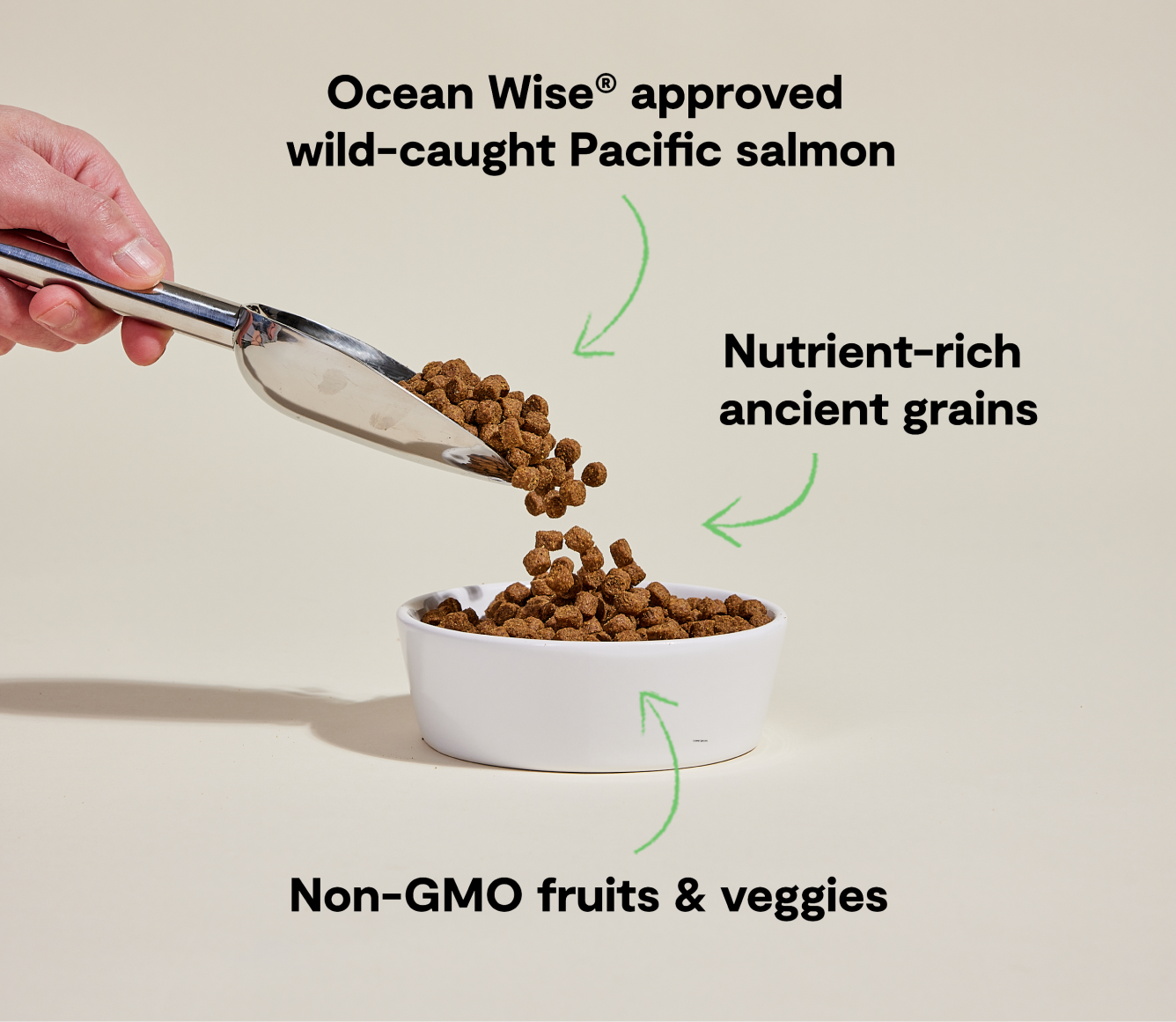 Open Farm Wild-Caught Salmon & Ancient Grains Dog Kibble