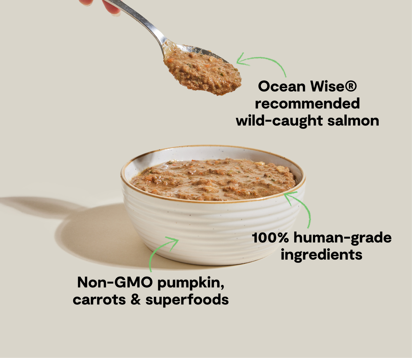 Open Farm Pet Wild-Caught Salmon Rustic Blend Wet Cat Food