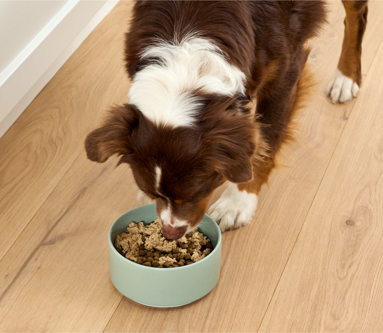 Open Farm Arctic Char Topper for Dogs