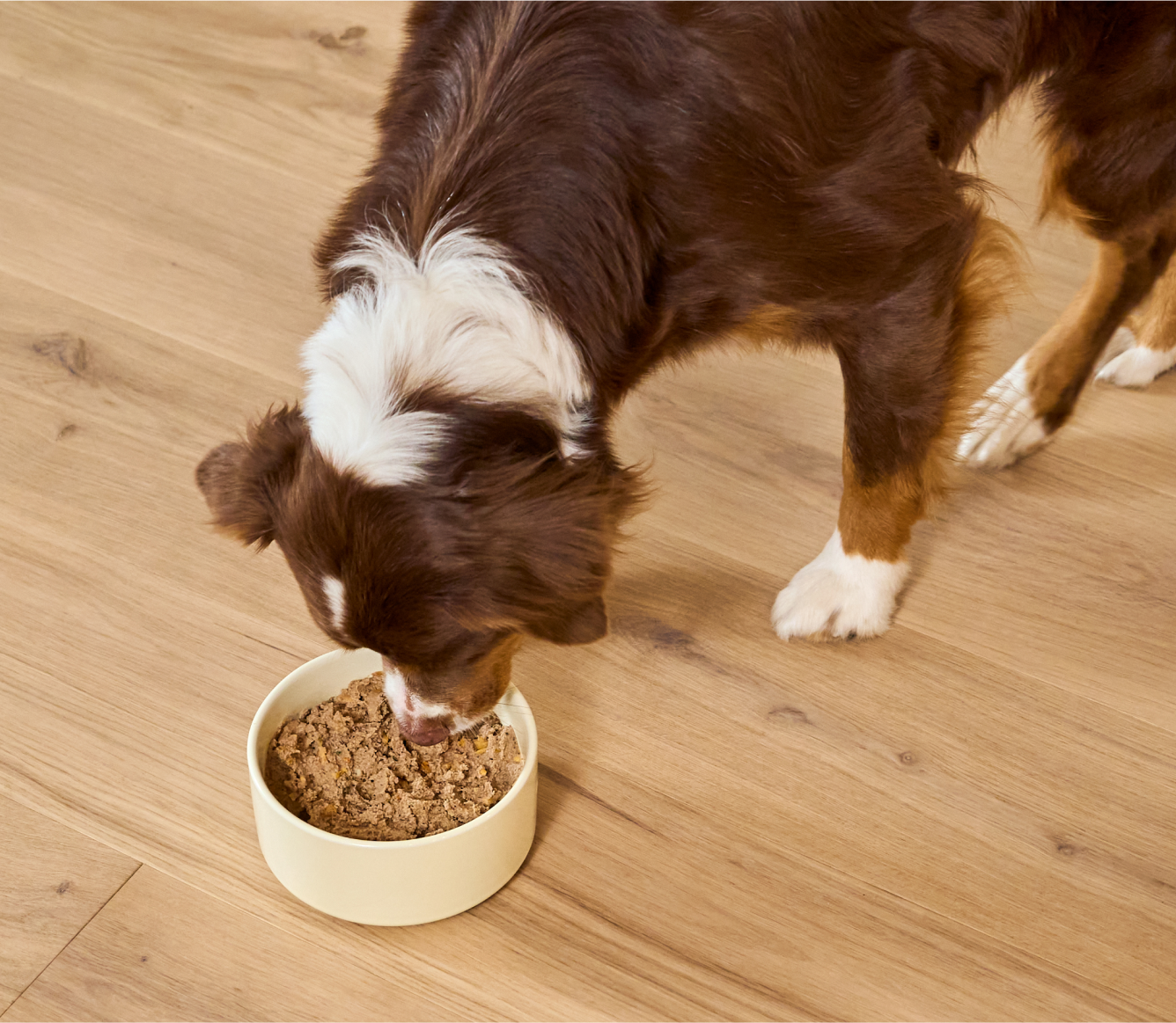 Open Farm Chicken & Grass-Fed Beef Pate for Dogs