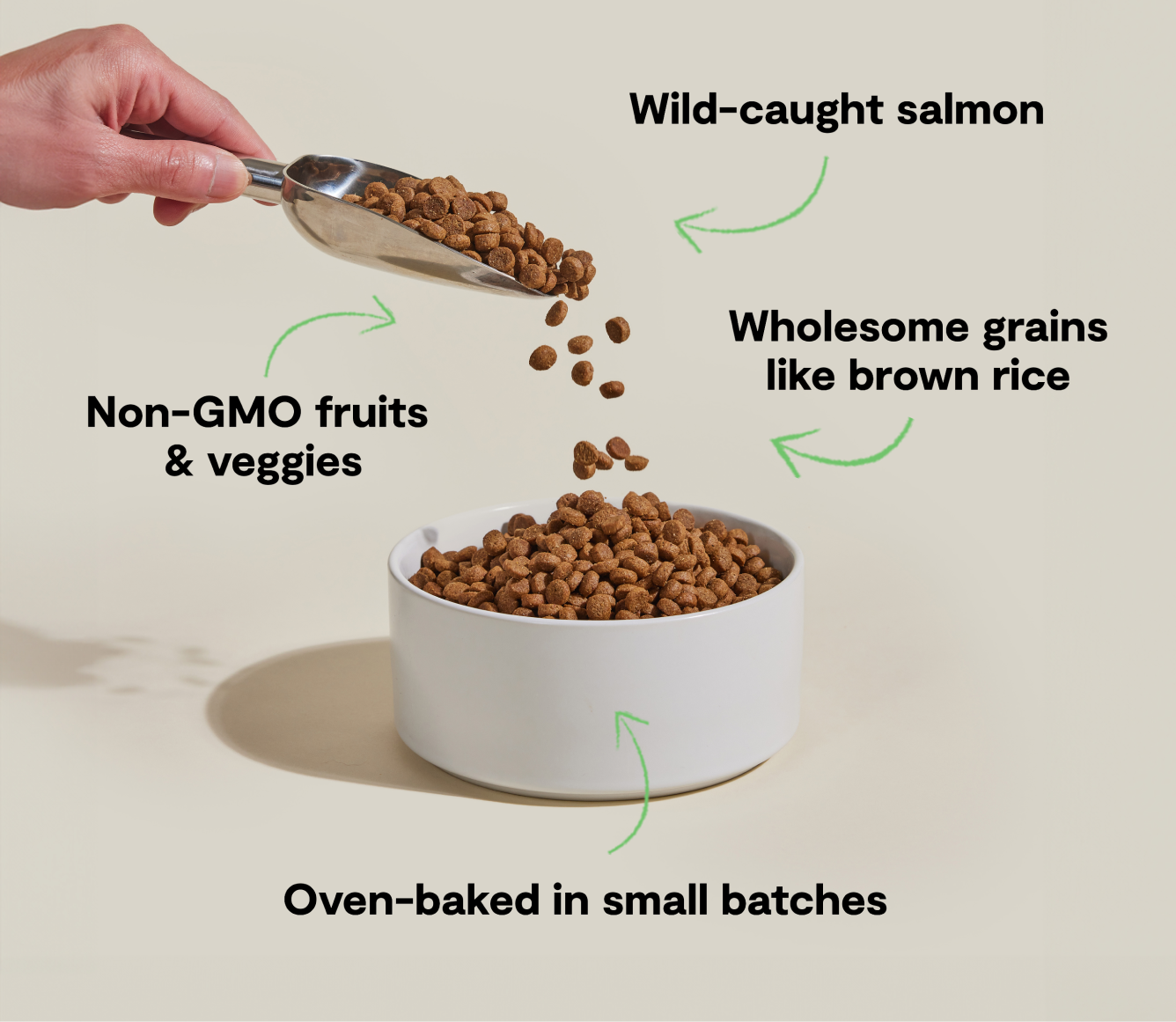 Open Farm Goodbowl Wild-Caught Salmon & Brown Rice Dog Kibble