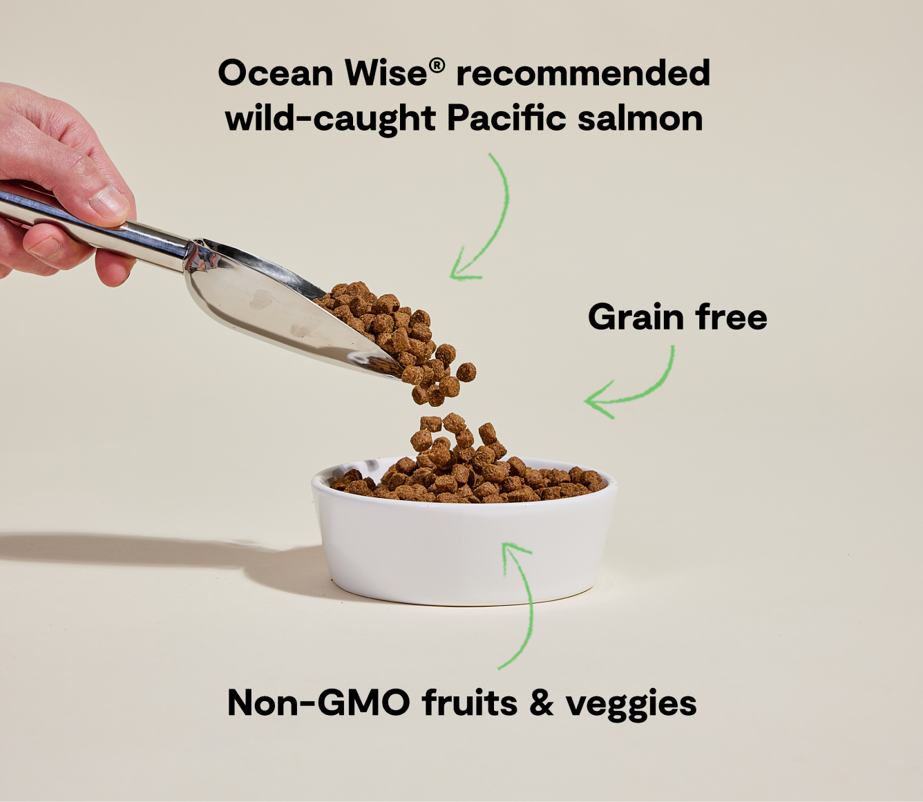 Open Farm Pet Wild-Caught Salmon Grain-Free Dog Kibble